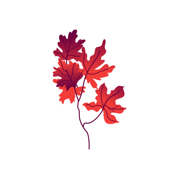 平面抽象的秋季植物图标图片下载