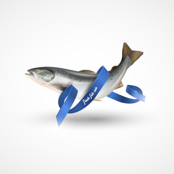 没有蓝带的白鲑鱼图片下载