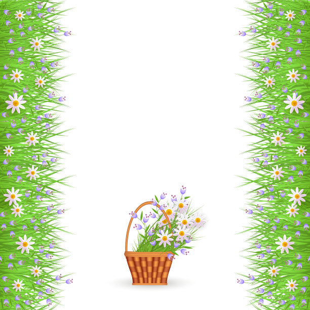 绿草菊洋甘菊边框图片下载