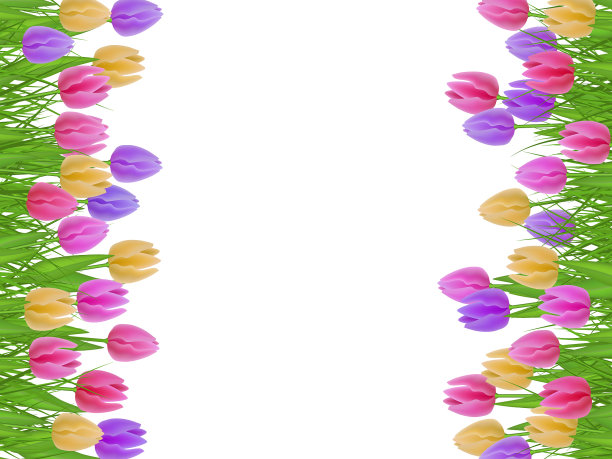 绿草郁金香花边框图片下载