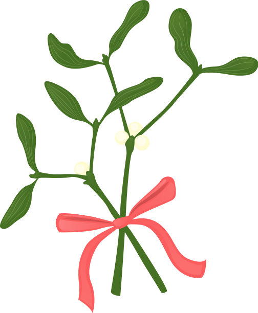 槲寄生树枝图片下载