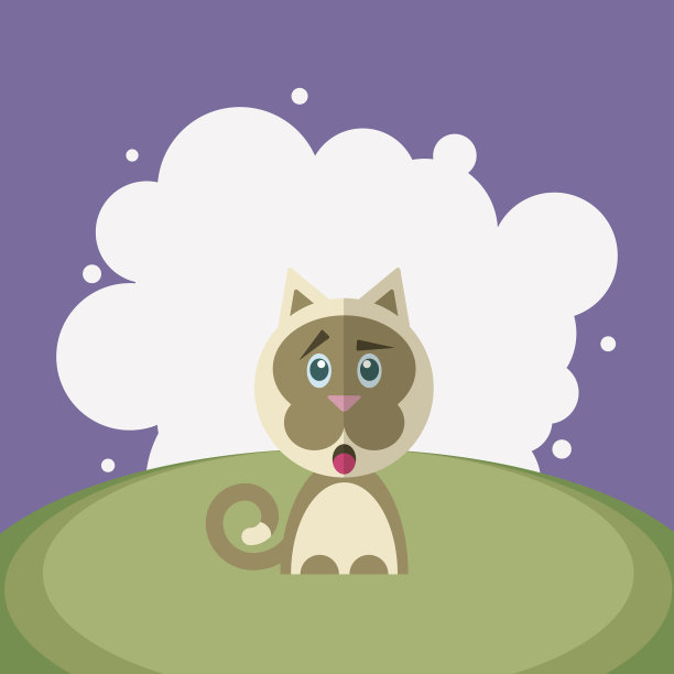 白色背景下惊奇的猫图片下载