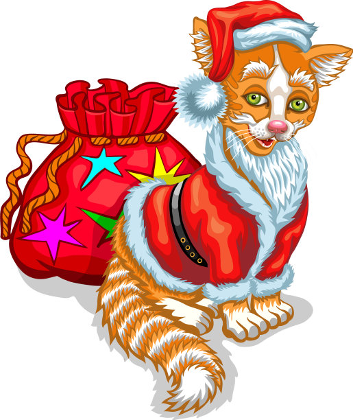 猫圣诞老人带着一袋礼物图片下载