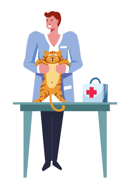 兽医男性检查猫宠物在桌子上图片下载