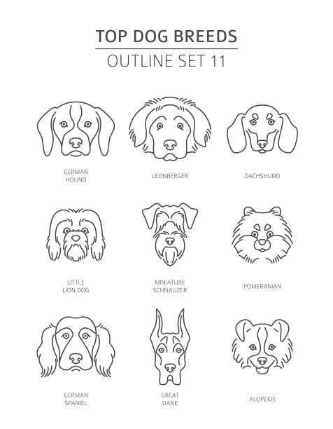 顶级犬品种宠物轮廓收集图片下载