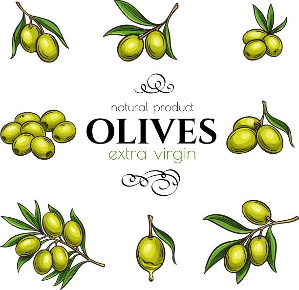 设置手绘橄榄图片下载