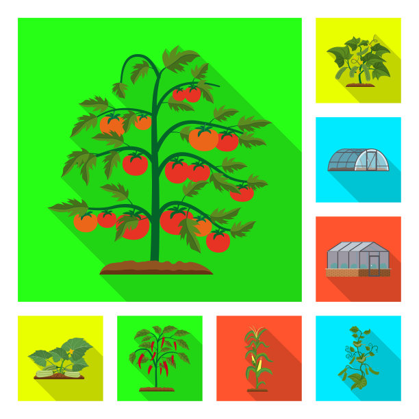 设计温室及植物标志套图片下载