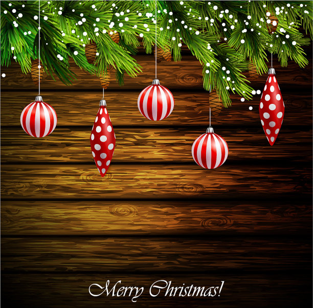 带球果的松枝图片下载