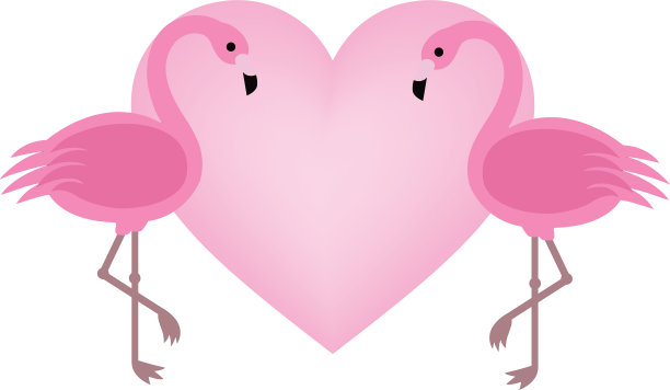 异国情调的鸟爱火烈鸟夫妇美丽的粉红色图片下载