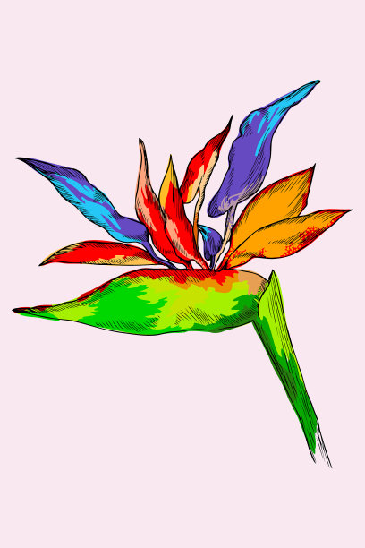 图案丰富多彩，奇异奇异图片下载