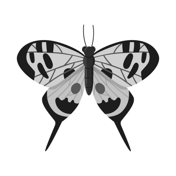 孤立的对象蝴蝶和自然标志图片下载