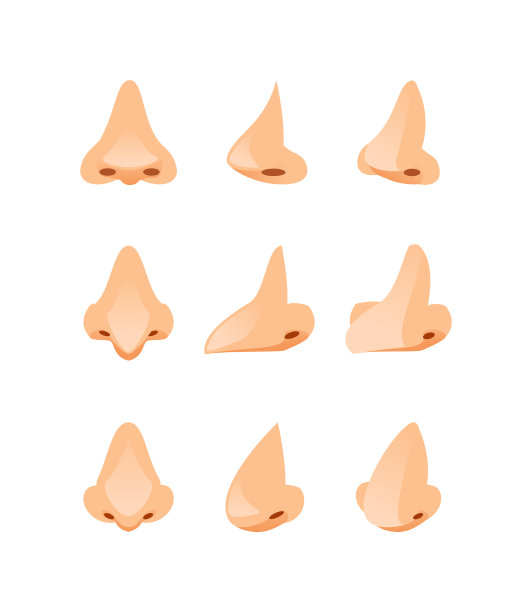 不同角度的鼻子图片下载