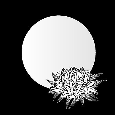 框架用鲜花图片下载