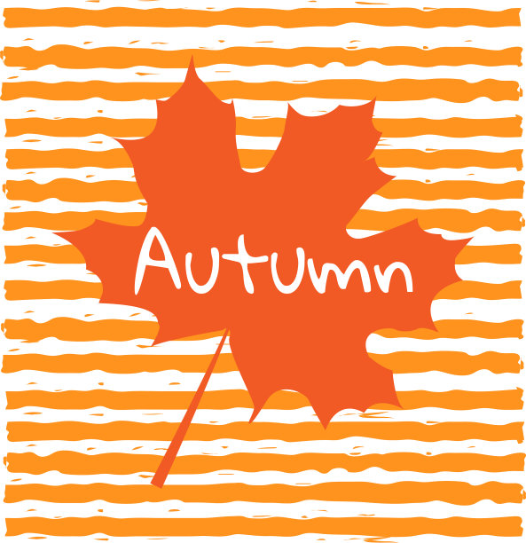 黄色的枫叶映衬着秋叶图片下载