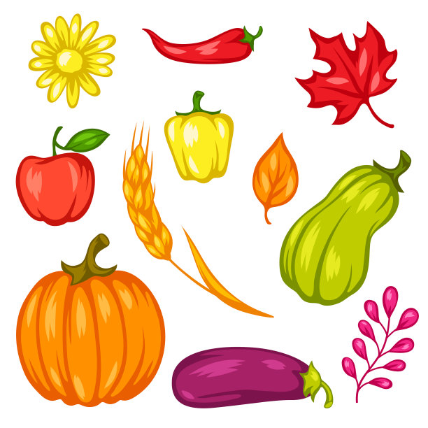 收获集水果和蔬菜图片下载