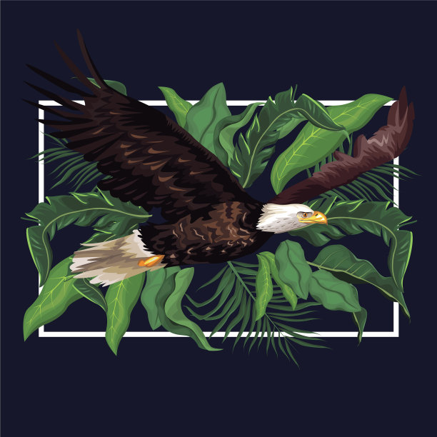 森林中的鹰图片下载