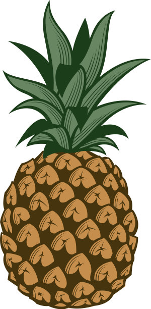 菠萝水果图片图片下载