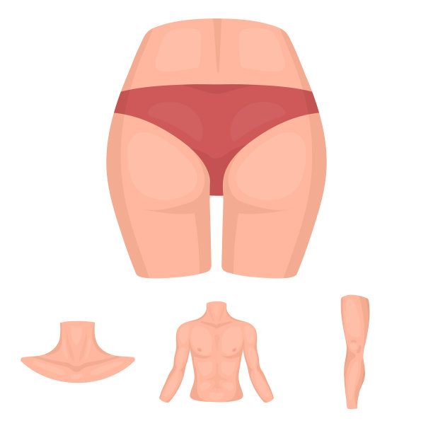 躯干、腿、脖子和臀部等身体部位固定图片下载