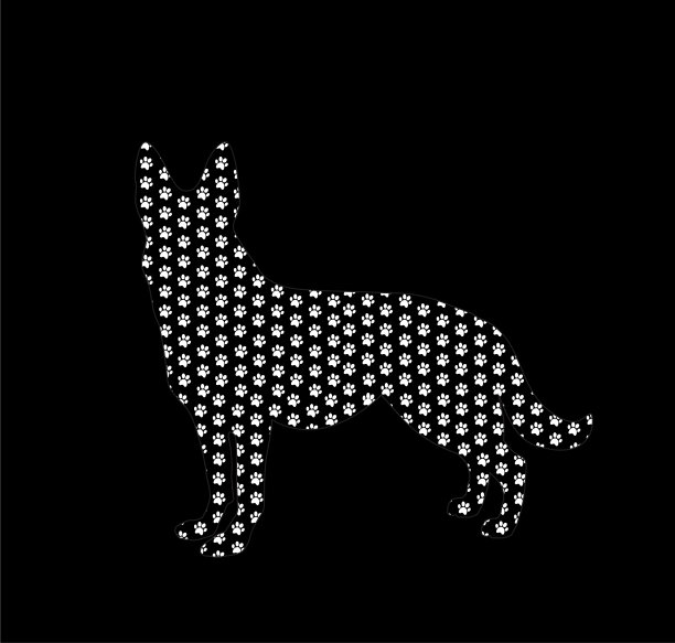德国牧羊犬的剪影充满了白色图片下载