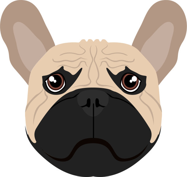 孤立的拳击手《阿凡达》图片下载