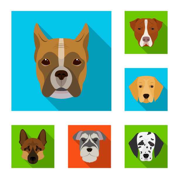 犬种平面图标在集合设计图片下载