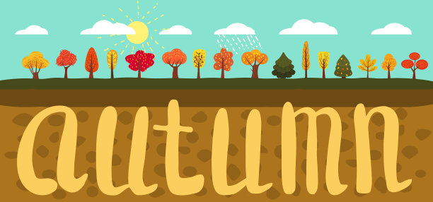 简单的景观设置不同的秋季树木图片下载