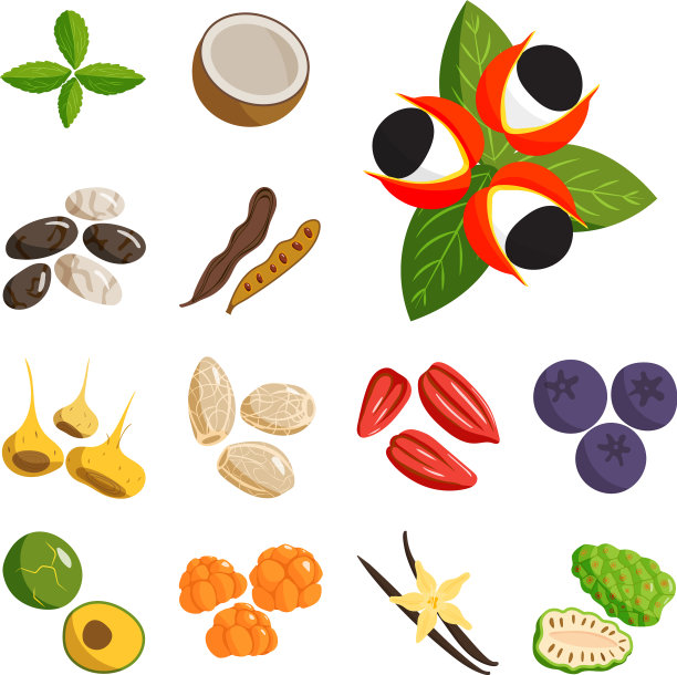 素食，健康的蔬菜和水果图片下载