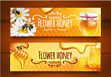 现实的蜂蜜横幅图片下载