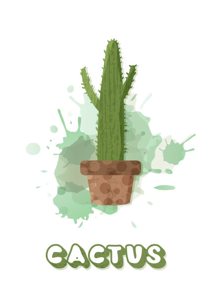 仙人掌与水泥罐图片下载