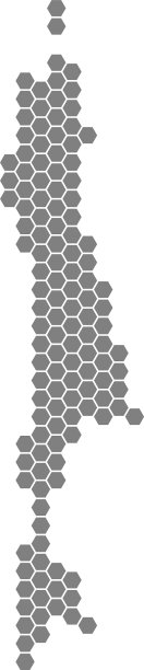 灰色六边形库页岛地图图片下载