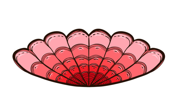 贝壳和珍珠图片下载