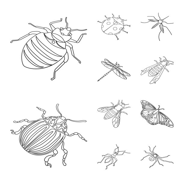 动物群和昆虫学符号图片下载