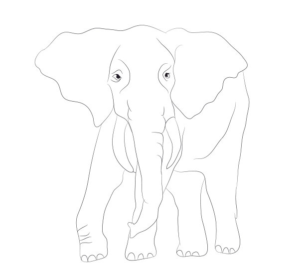 大象图形线图片下载