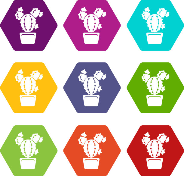 圆圈仙人掌图标设置9图片下载