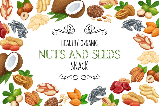 手绘坚果和种子素描图片下载