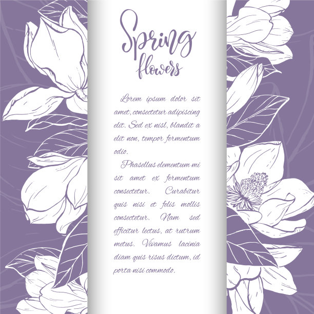 速写木兰花线形开花图片下载