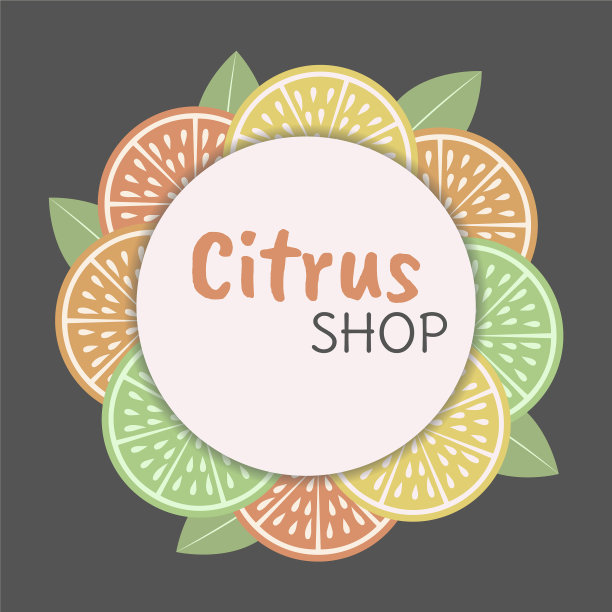 柑橘概念模板复古风格有机图片下载