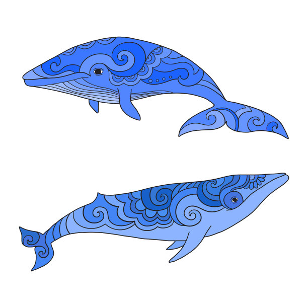 卡通鲸鱼素描涂鸦图片下载