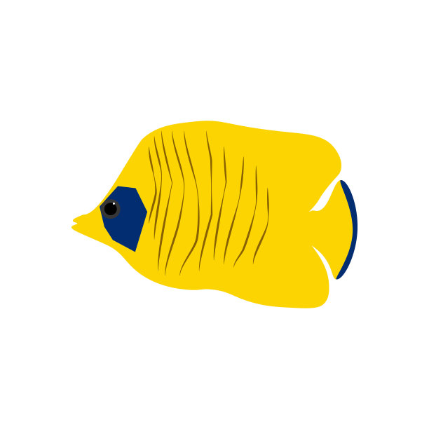 柴托顿奥里加蝴蝶鱼图片下载