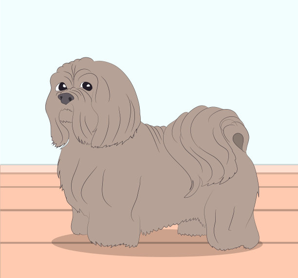 狗在房间里图片下载