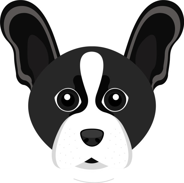 可爱的波士顿梗狗阿凡达图片下载