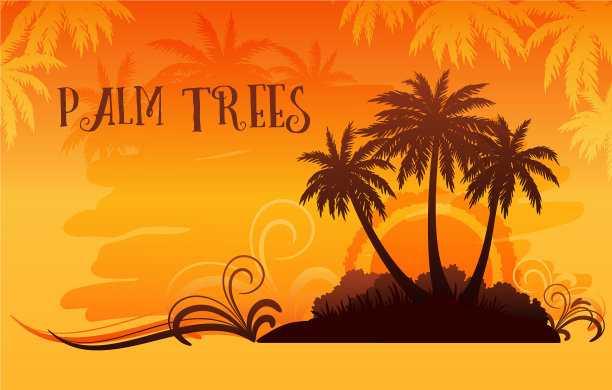 异域风情的棕榈景观图片下载