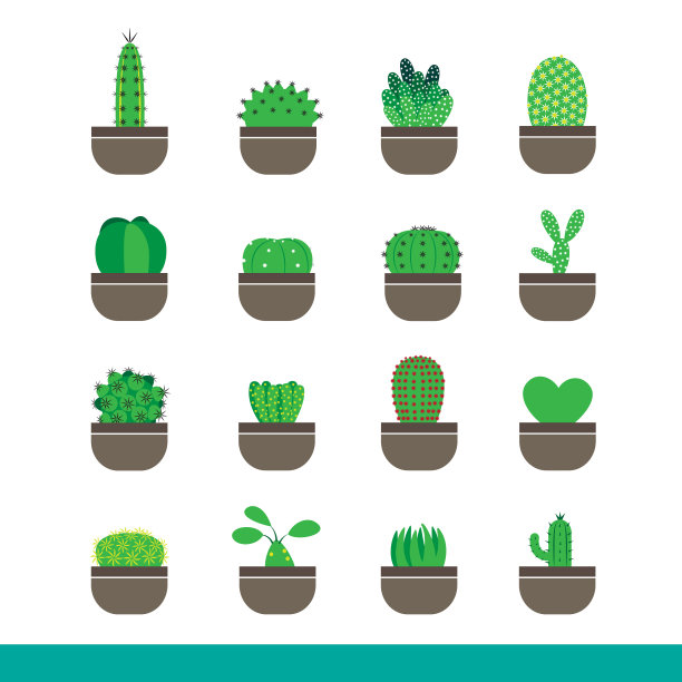 仙人掌颜色图标设置图片下载