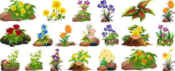 大的设置彩色的花在岩石和木材上图片下载