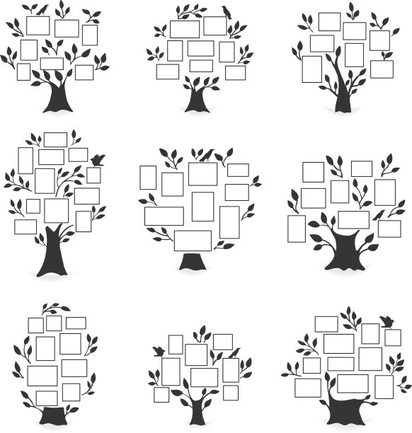 家庭树与相框图片下载