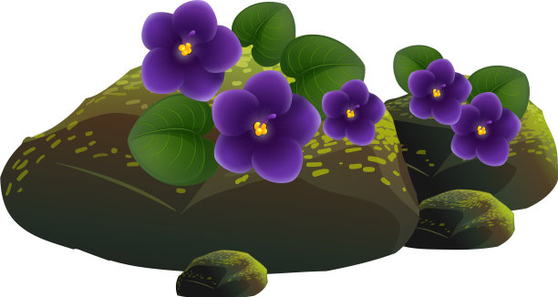 白色背景上的紫色花朵和岩石图片下载