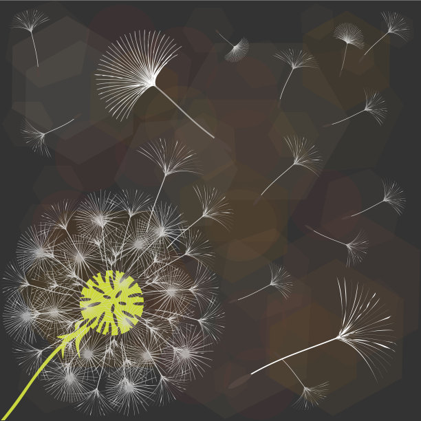 抽象的蒲公英背景设计图片下载