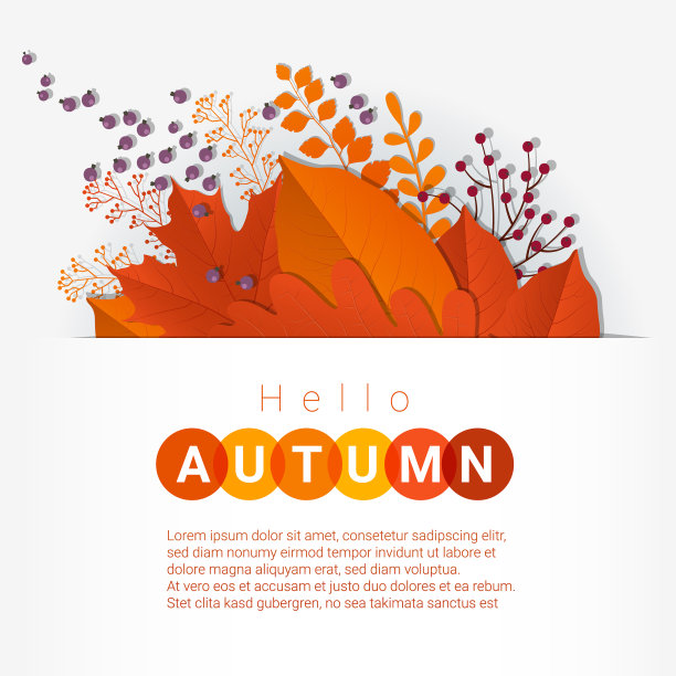 你好，秋天，五颜六色的树叶和果实图片下载