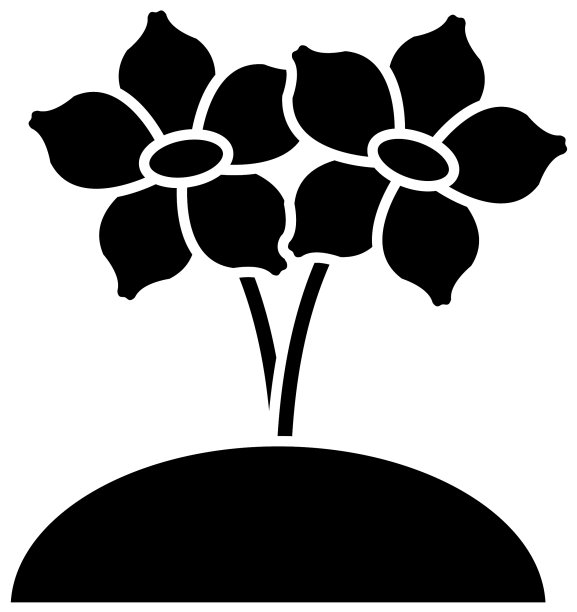 种植美丽的花朵图片下载