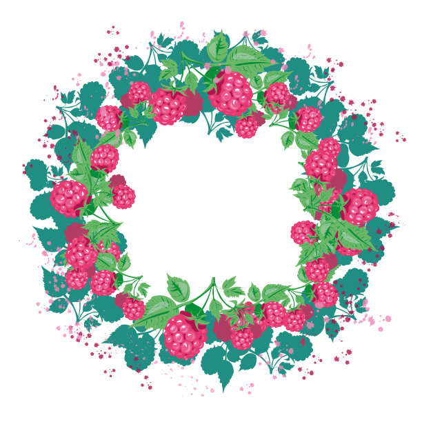 新鲜的覆盆子与树叶手绘图片下载